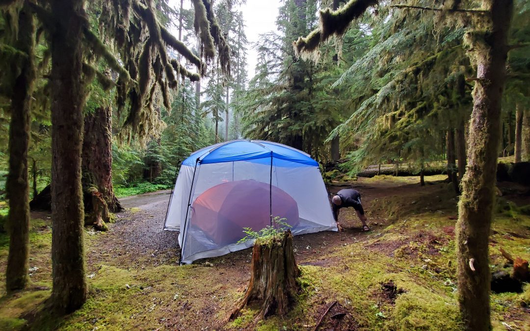 Camping in Olympic National Forest