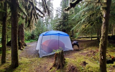 Camping in Olympic National Forest
