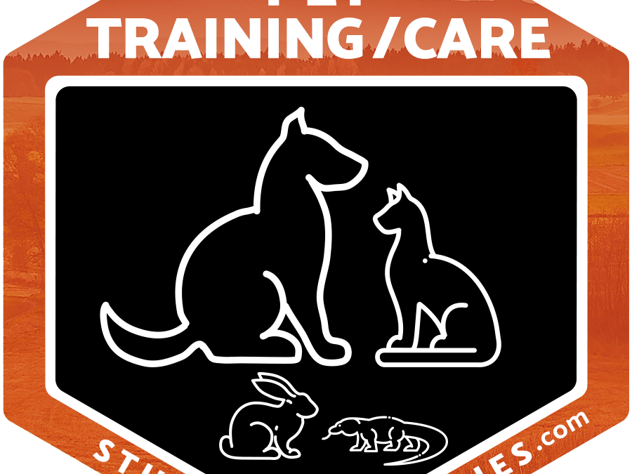 Pet Training / Care